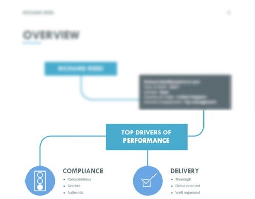 OPTO personality score report